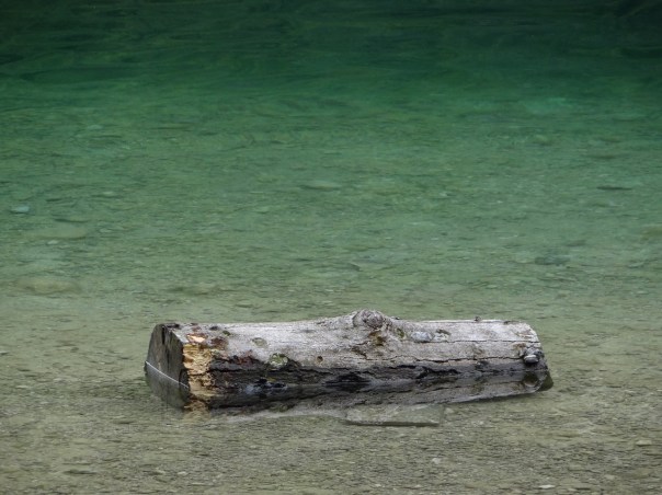 drift-wood-816225_1280